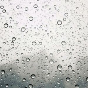 Meet your Posher, Bay